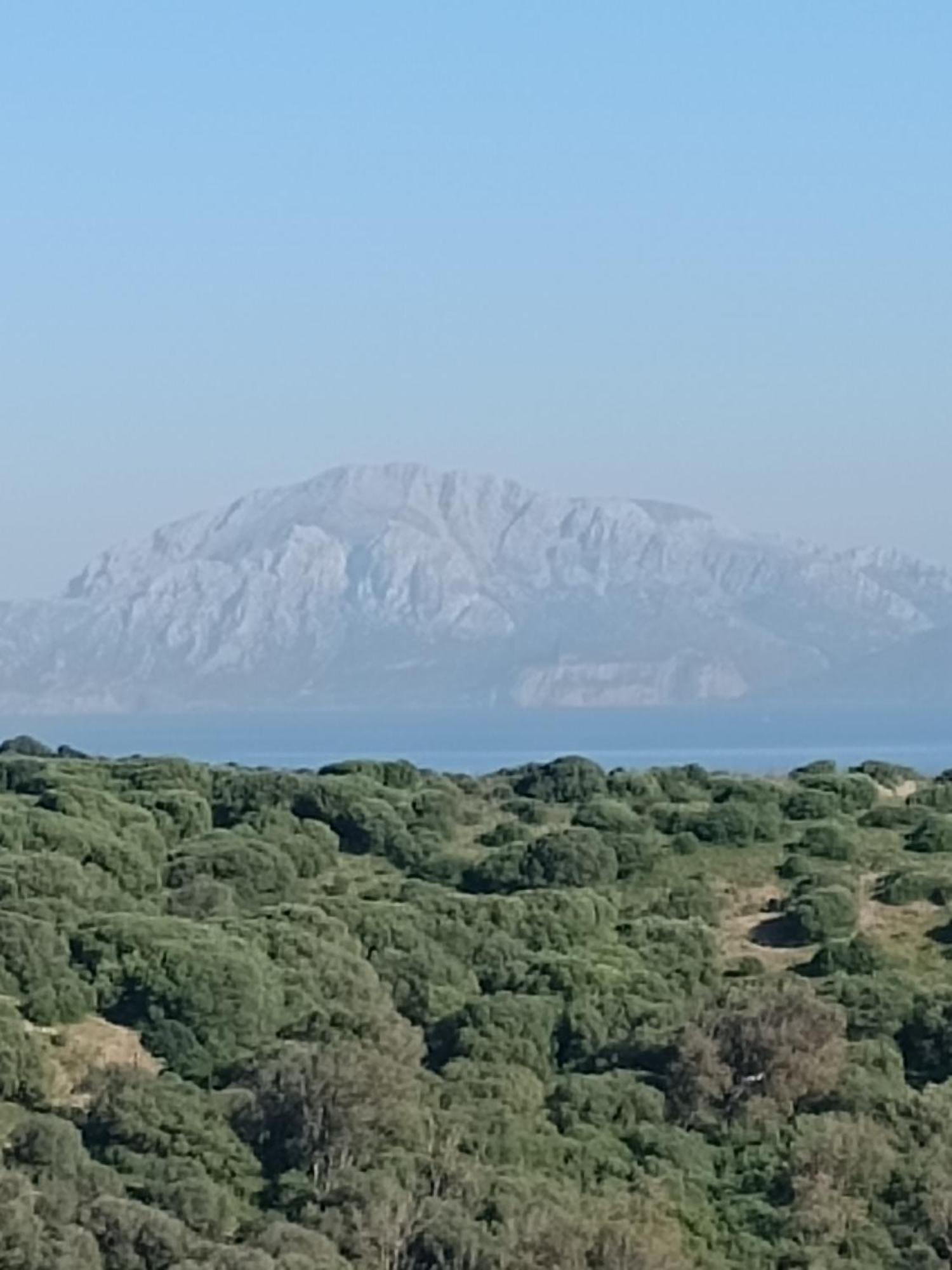 La Ballenita De Tarifa Luaran gambar